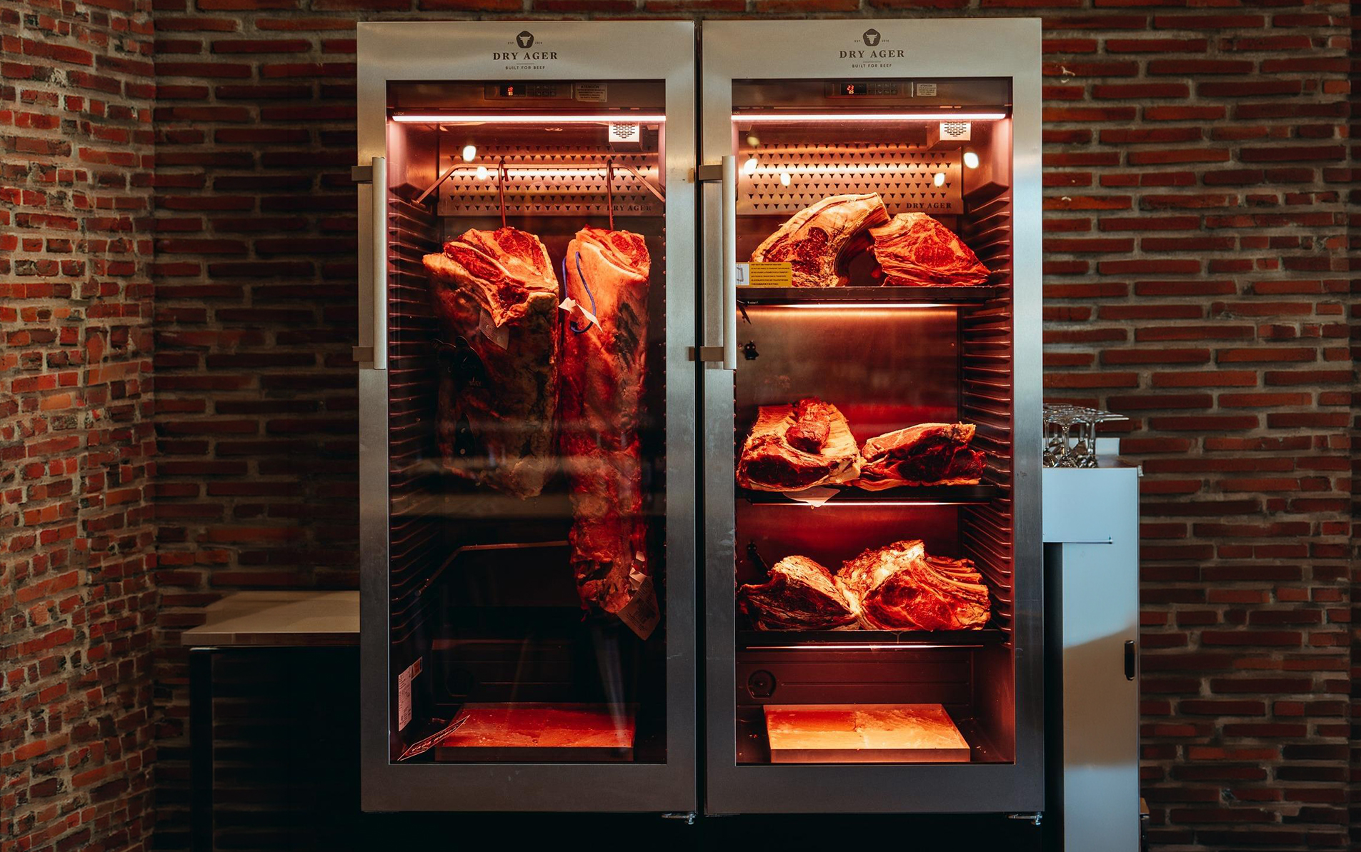 Camra maduracion de carnes